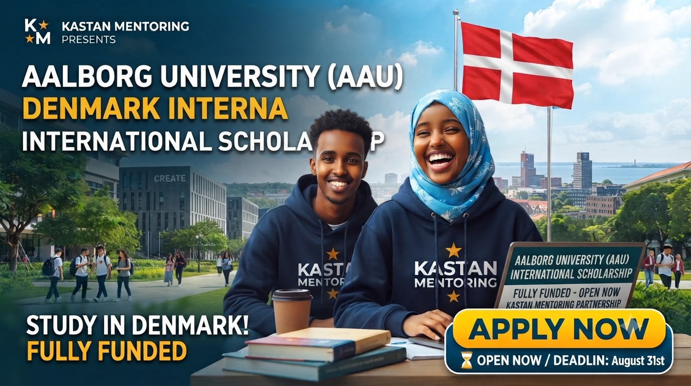 Denmark Aalborg University Scholarship